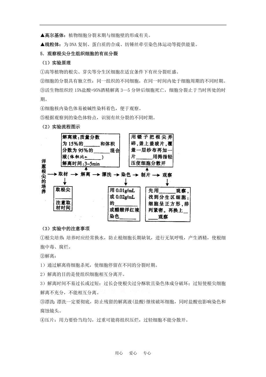 5.1《细胞增殖》素材03 (苏教版必修1)_第5页