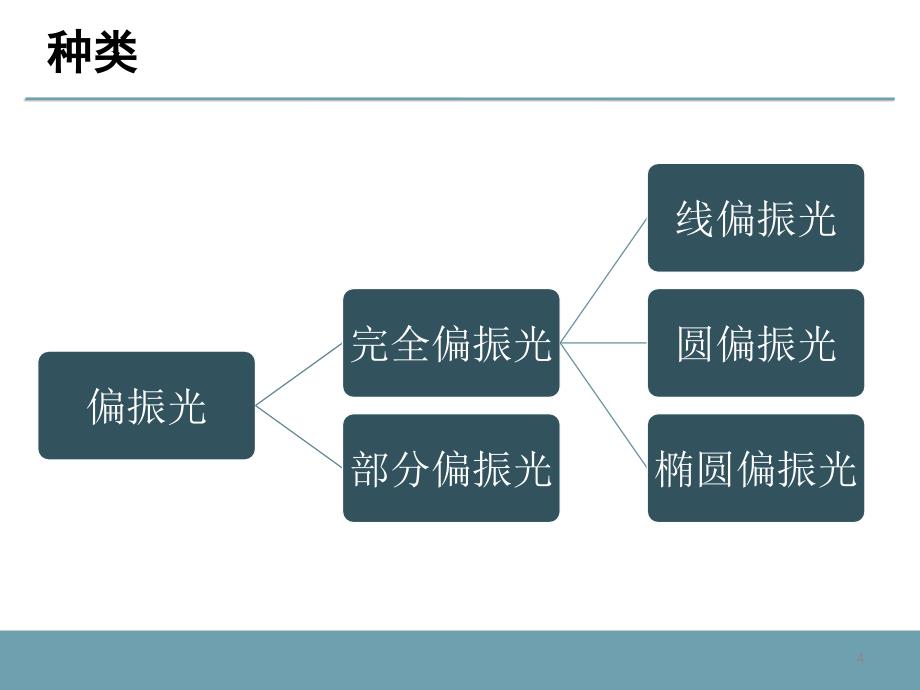 偏振光的产生和检验_第4页