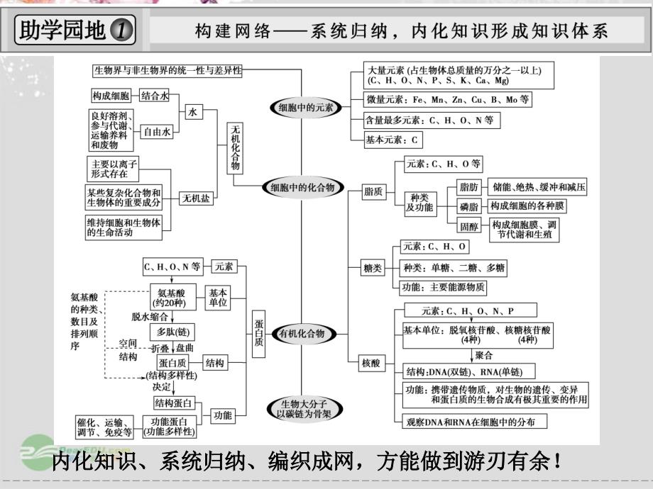 【创新设计】2013高考生物一轮复习 单元整合提升1课件 新人教版必修1_第1页