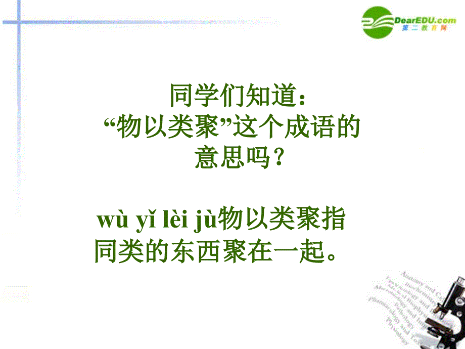 七年级数学上册《同类项》课件_华东师大版_第2页