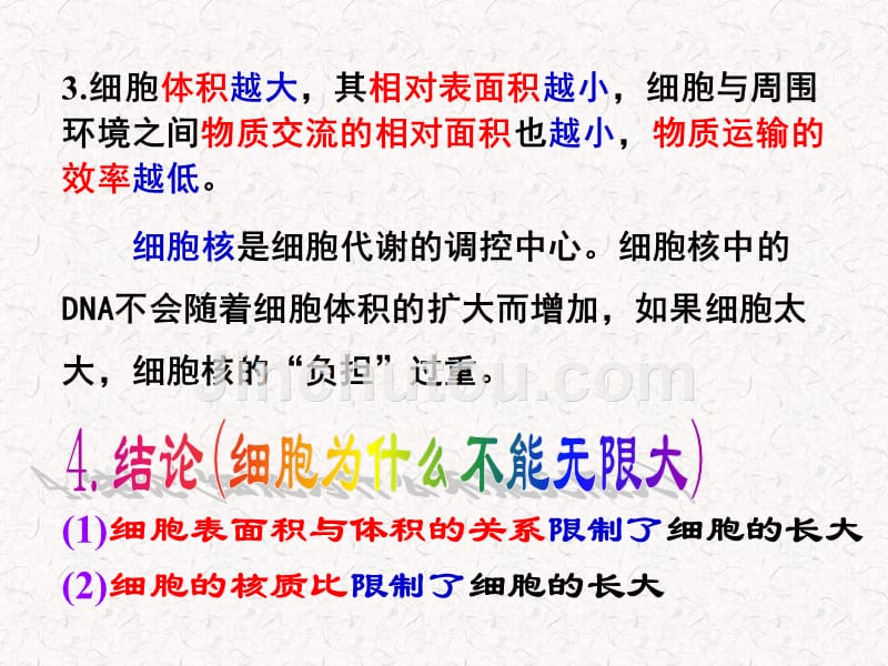 人教版教学课件四川省高二生物《细胞的增殖》课件_第4页