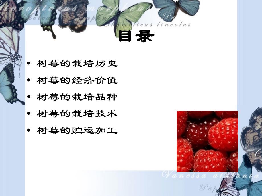 树莓丰产栽培技术_第2页