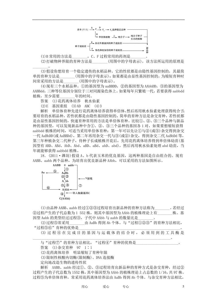 2012高考生物总复习 6.1 育种与基因工程课堂强化训练 新人教版必修2_第5页