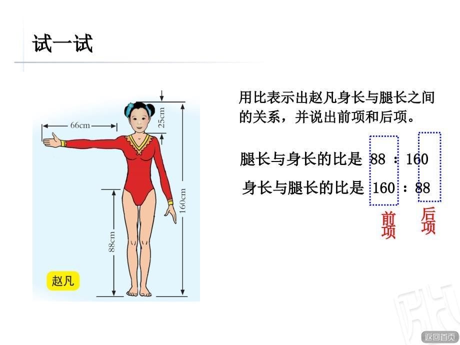 青岛版六年级数学上册第四单元比的意义_第5页