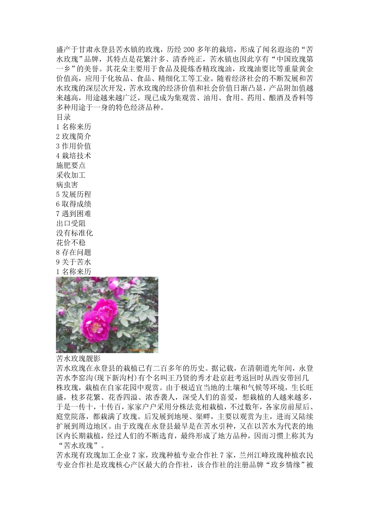 盛产于甘肃永登县苦水镇的玫瑰_第1页