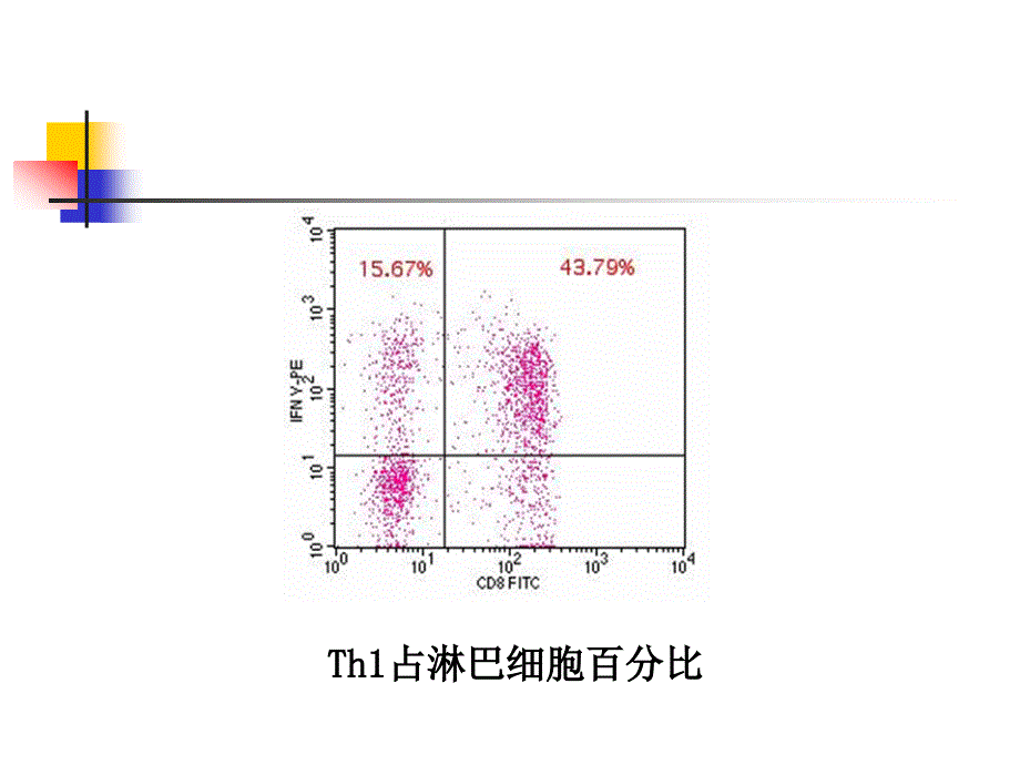 CpG-ODN的免疫刺激作用_第5页