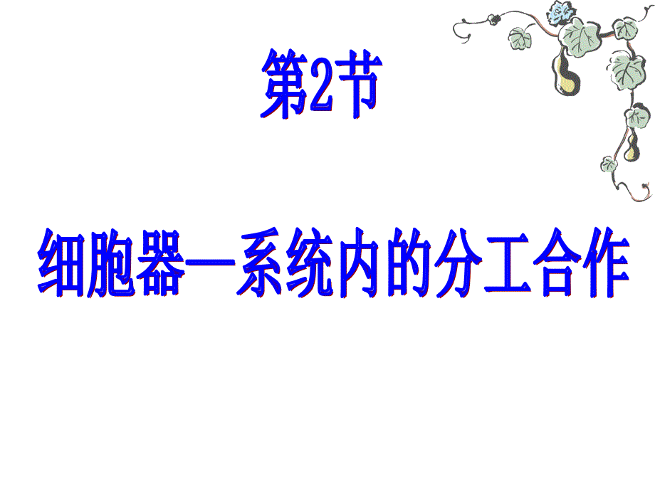 人教版教学课件细胞器——系统内的分工合作 课件_第3页