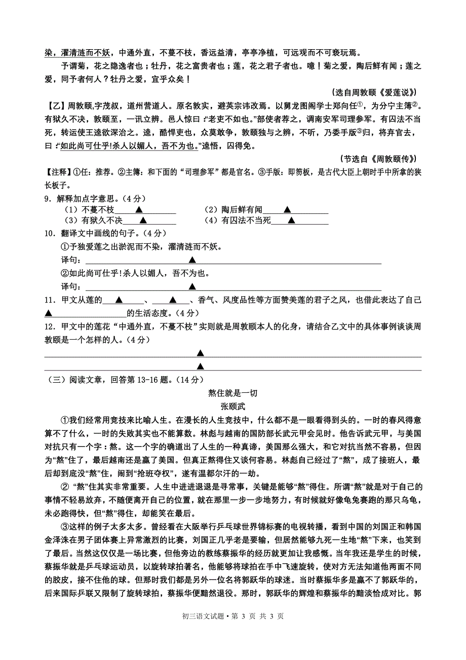 盐中2013初三下第一次月考试卷(语)_第3页