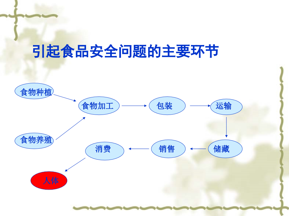 《食品安全与卫生111》培训_第4页