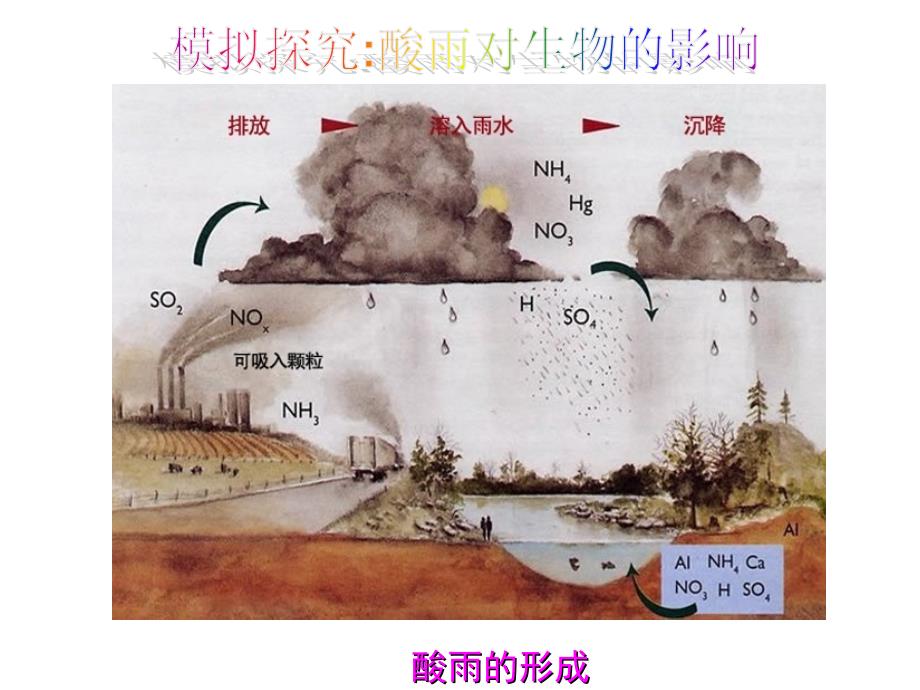 人教版生物七年级下册第七章第二节探究环境污染对生物的影响(共27张PPT)_第3页