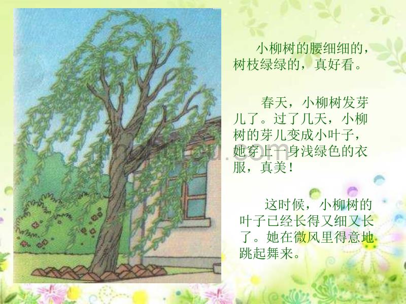 人教版小学语文二年级上册《小柳树和小枣树》PPT课件_第3页