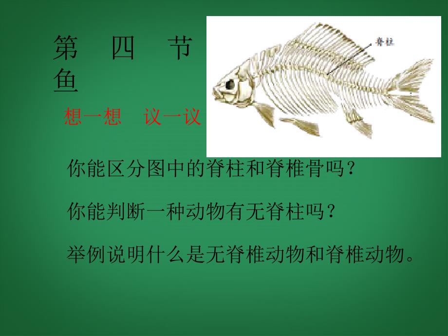 八年级生物上册 第五单元 第一章 动物的主要类群 1.4 鱼课件 （新版）新人教版_第2页