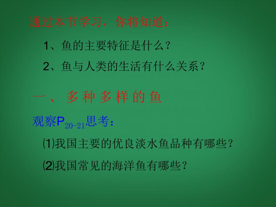 八年级生物上册 第五单元 第一章 动物的主要类群 1.4 鱼课件 （新版）新人教版_第3页