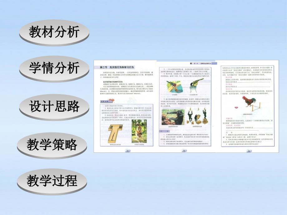 八年级生物上册 《先天性行为和学习行为》说课课件 人教新课标版_第2页