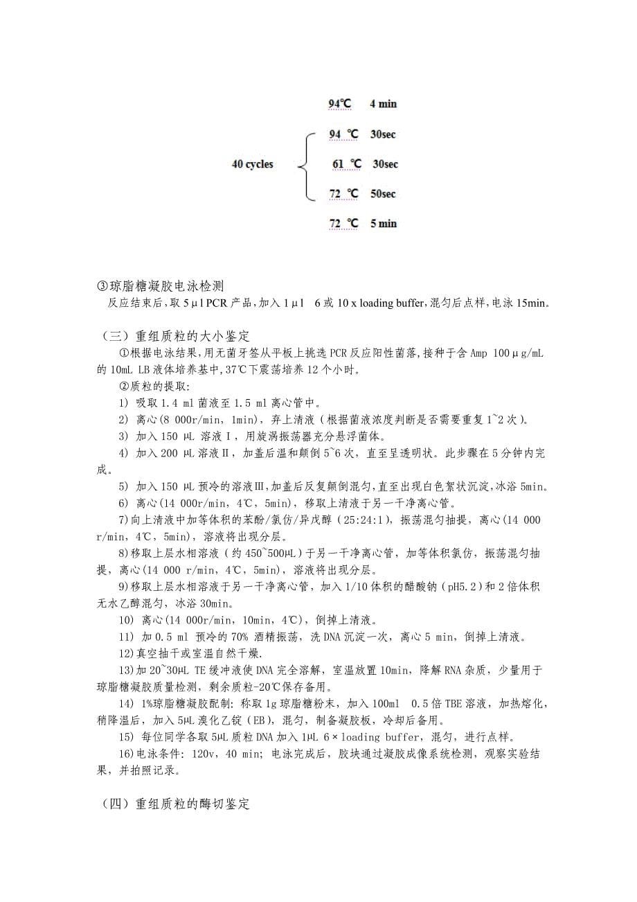 利用不同的方法筛选和鉴定转化子_第5页