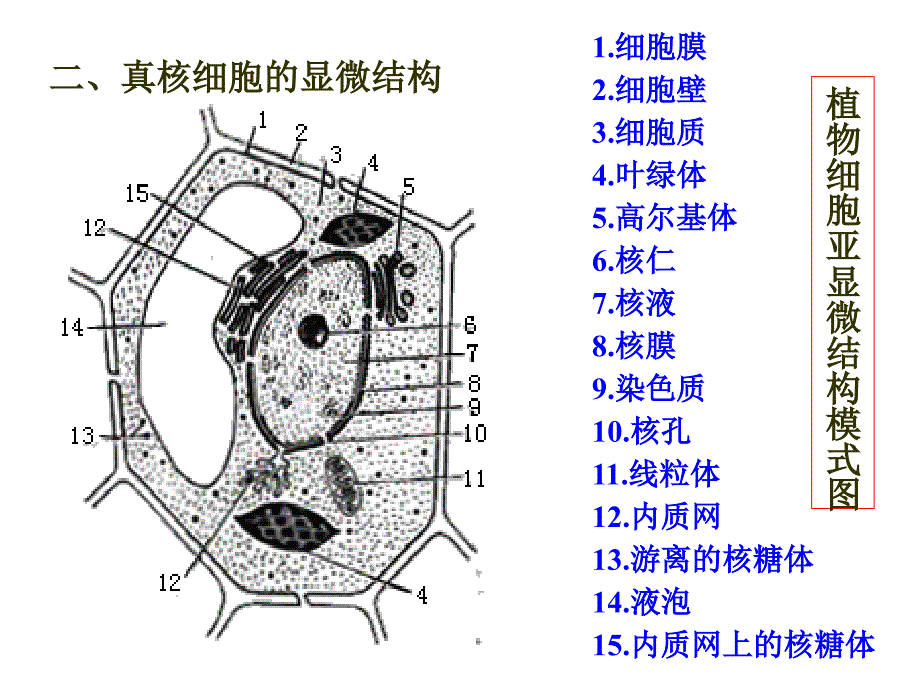 2010朝阳生物一模讲评_第2页