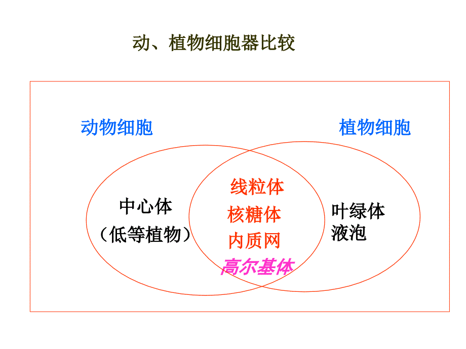 2010朝阳生物一模讲评_第4页