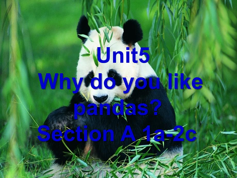 人教版(新目标)英语七年级下册Unit 5 Why do you like pandas课件3_第1页