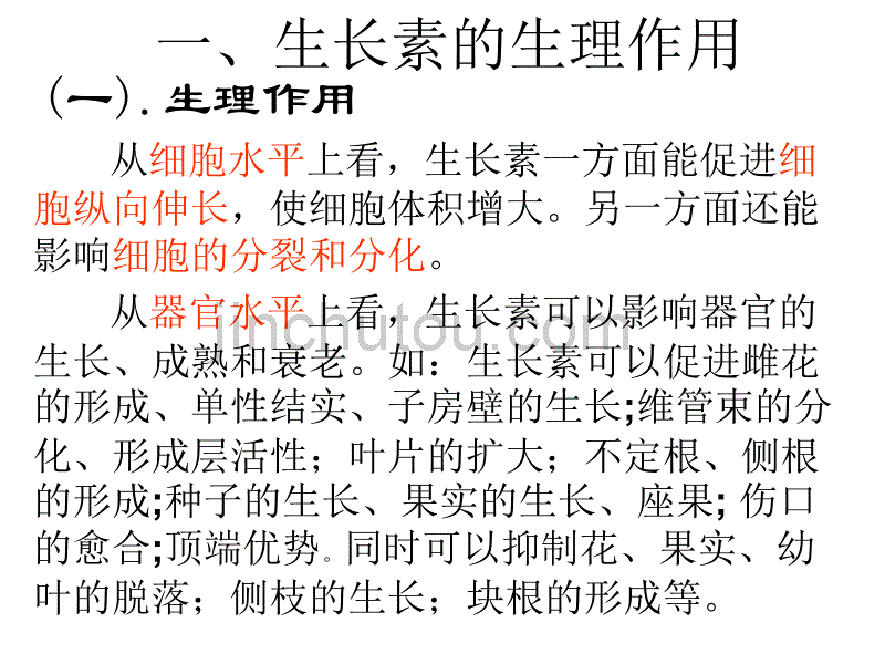 人教版教学课件吉林省松原市扶余县第一中学高二生物《32生长素的生理作用》课件_第5页