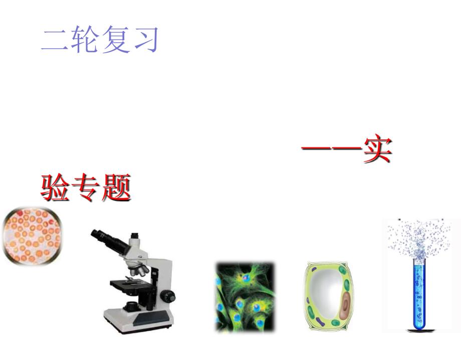 2012高中生物实验复习mxh_第1页