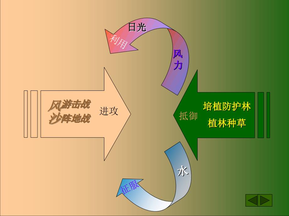 初中语文初二语文向沙漠进军3_第4页