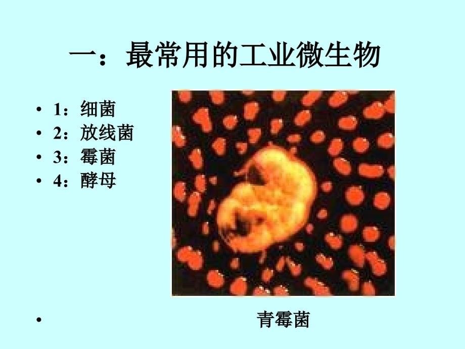 生物发酵培养技术_第5页