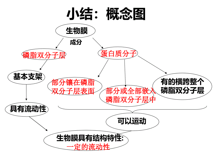 人教必修一物质跨膜运输的方式_第3页