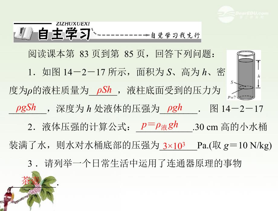 九年级物理 第十四章 压强和浮力 二、液体的压强 第2课时 液体压强的计算和应用课件 人教新课标版_第2页