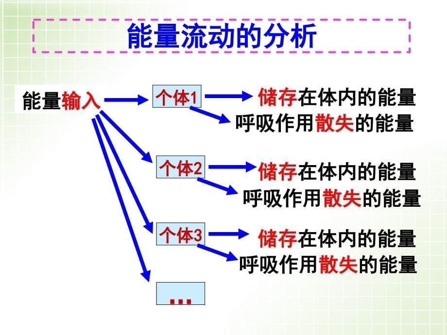 人教版教学课件生态系统中的能量流动_第5页