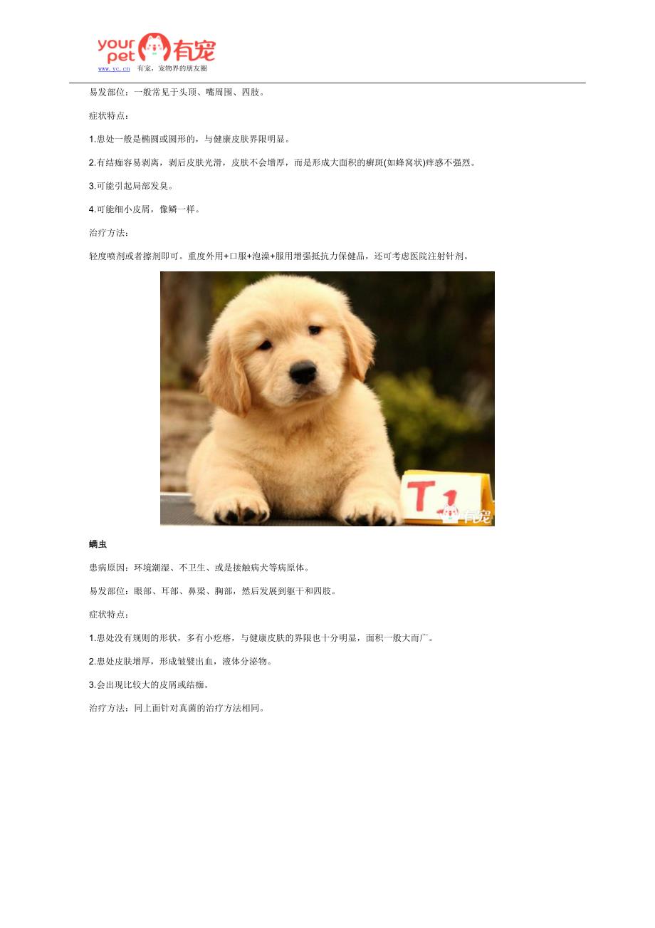 干货金毛犬皮肤病治疗方法大全_第2页