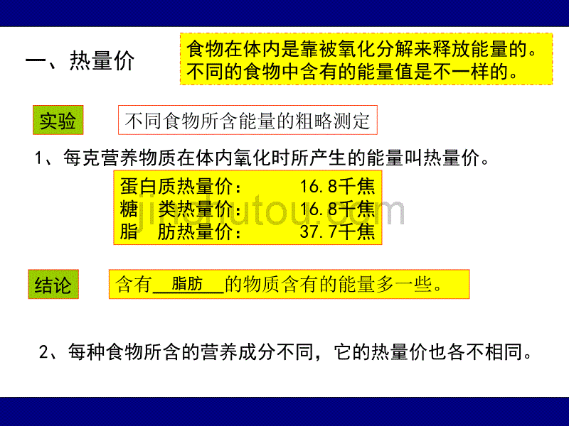 shangk4.1动物的摄食_第3页