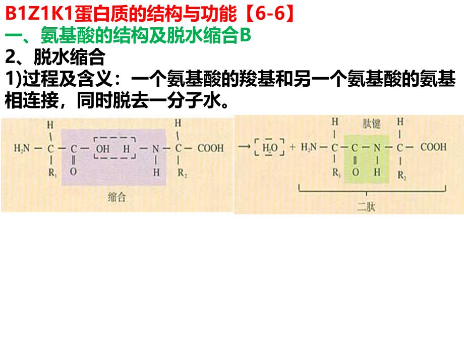 Swxgk-B1Z1细胞的分子组成_第3页