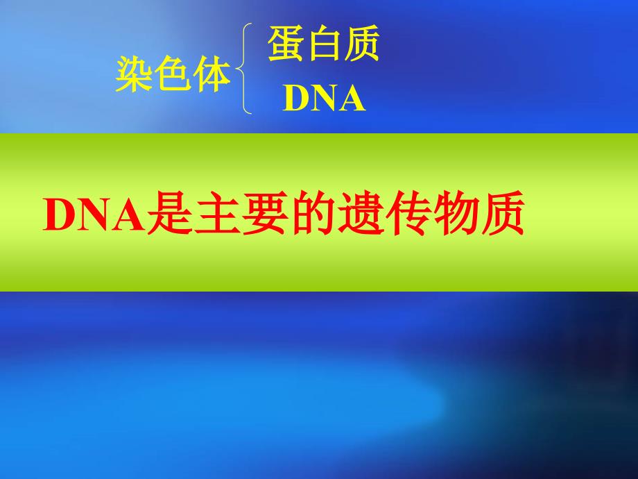 人教版教学课件高一生物必修二遗传和进化第三章第一节DNA是主要的遗传物质课件_第4页