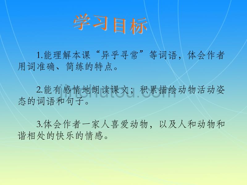 《绿毛龟》课件(沪教版五年级语文上册课件)_第2页