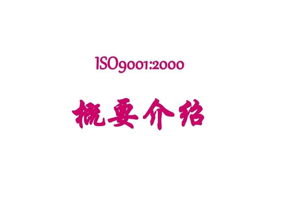 ISO9001&14001标准概要培训_第5页