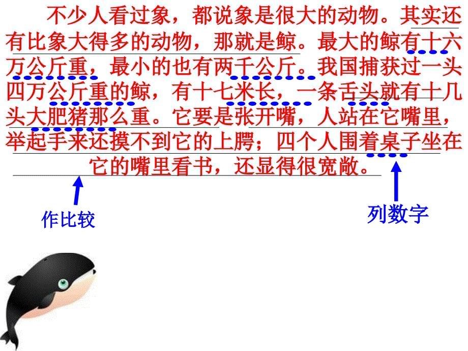 人教版小学五年级语文上册《鲸》课件_第5页