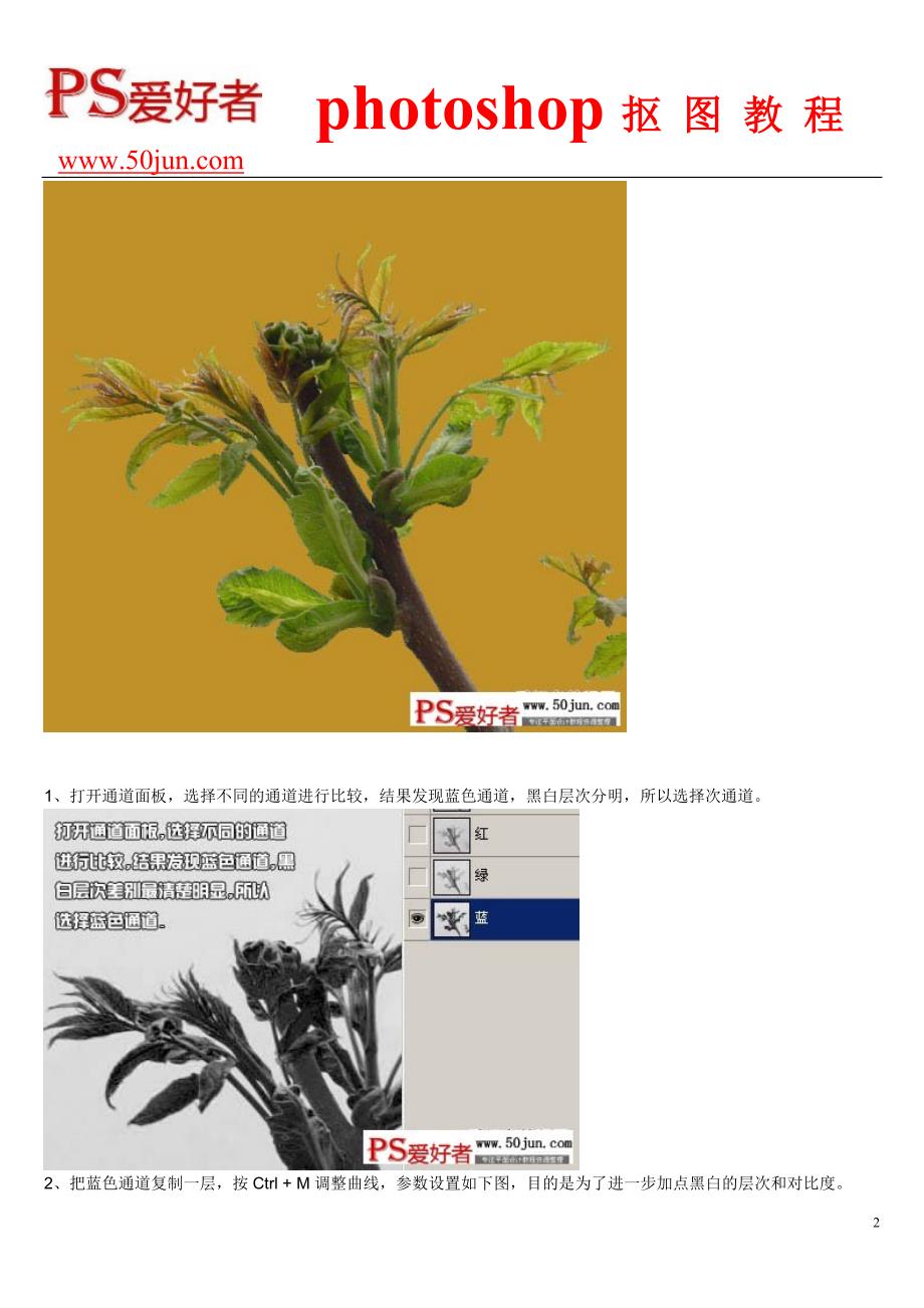 抠图教程：抠出鲜嫩的绿色植物图片教程_第2页