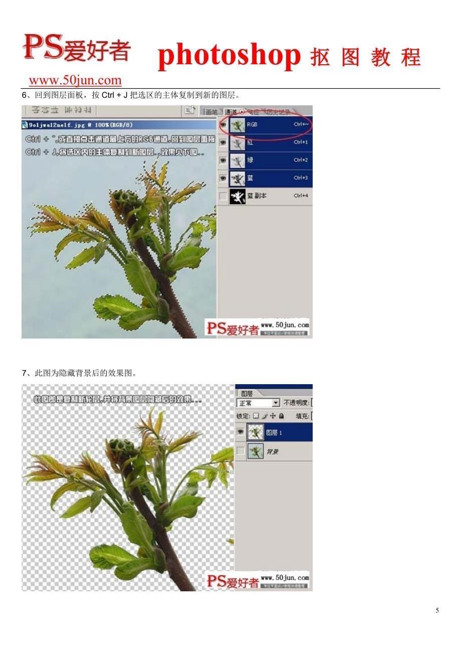 抠图教程：抠出鲜嫩的绿色植物图片教程_第5页