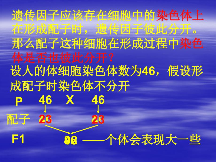 人教版教学课件生物必修二第2章第1节减数分裂_第2页