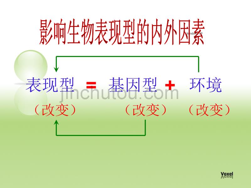 人教版教学课件基因突变和基因重组课件-新人教[整理]_第4页