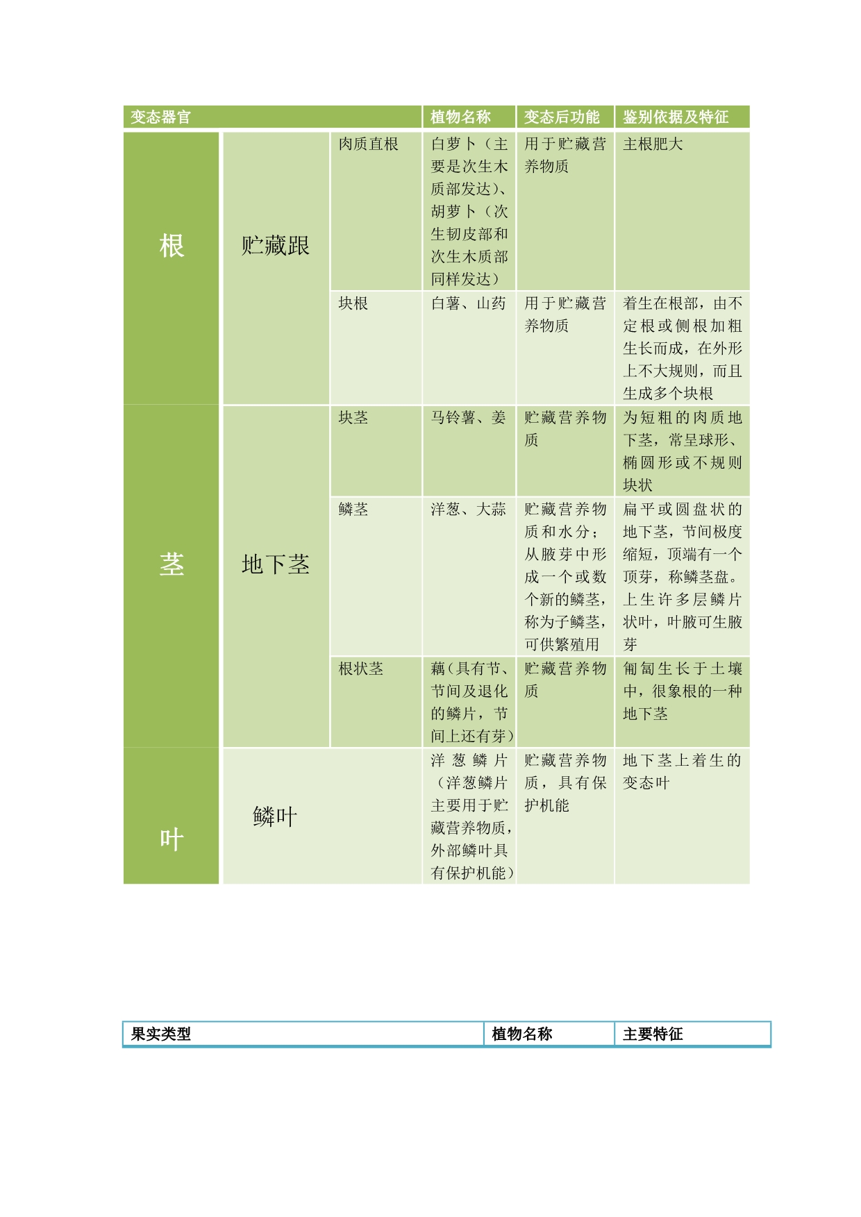 普生实验报告--植物花、种子、果实_第3页