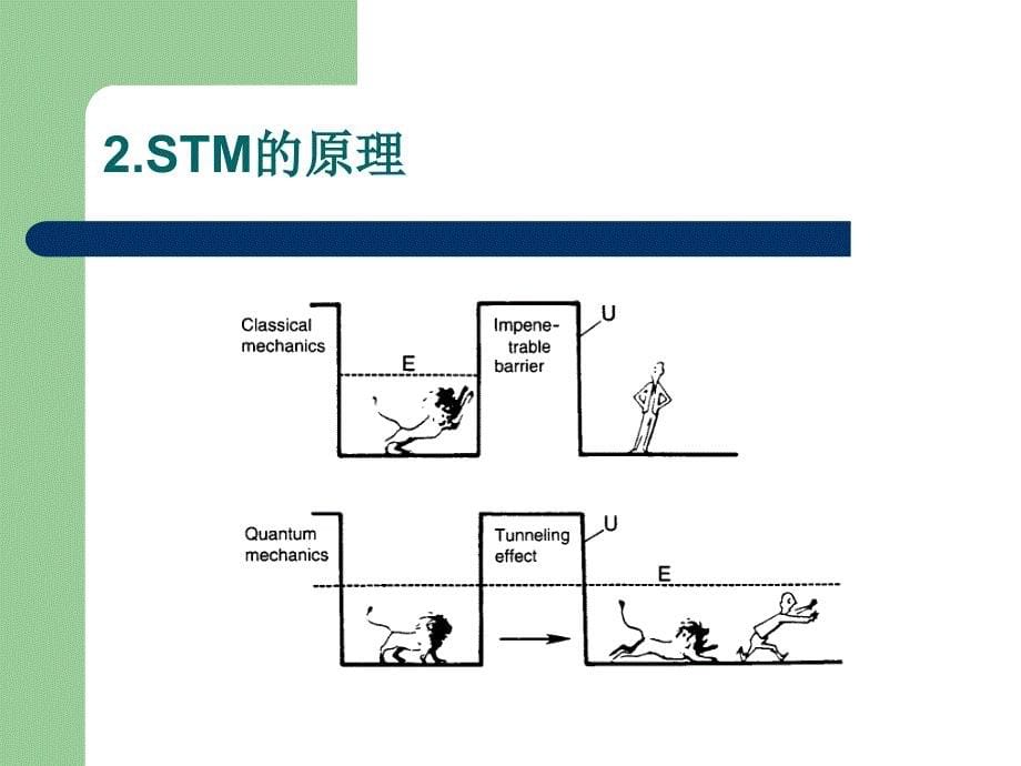 扫描隧道显微镜STM_第5页
