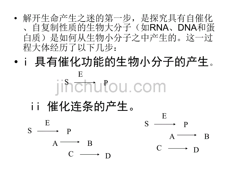 生命的起源与演化_第3页