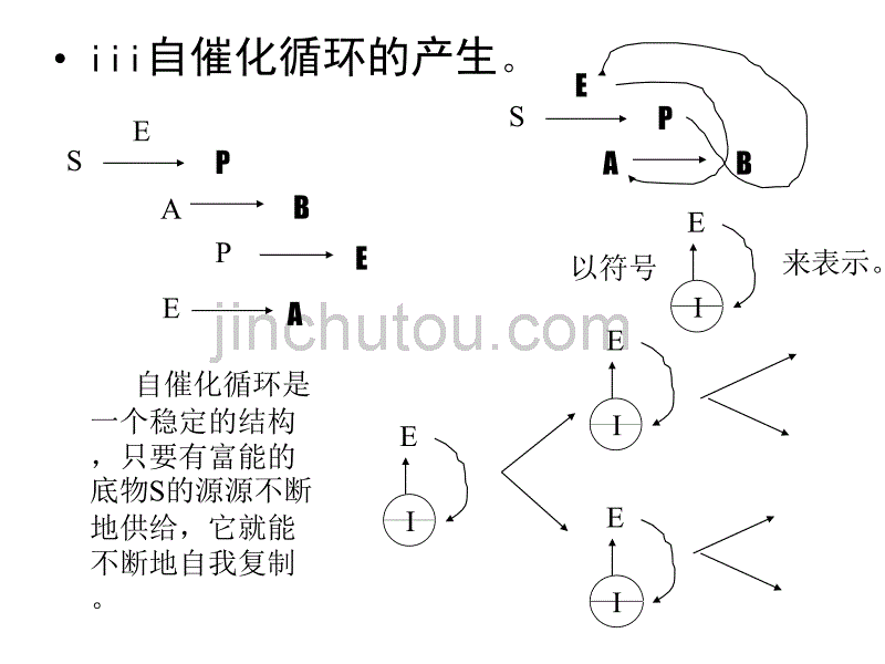 生命的起源与演化_第4页