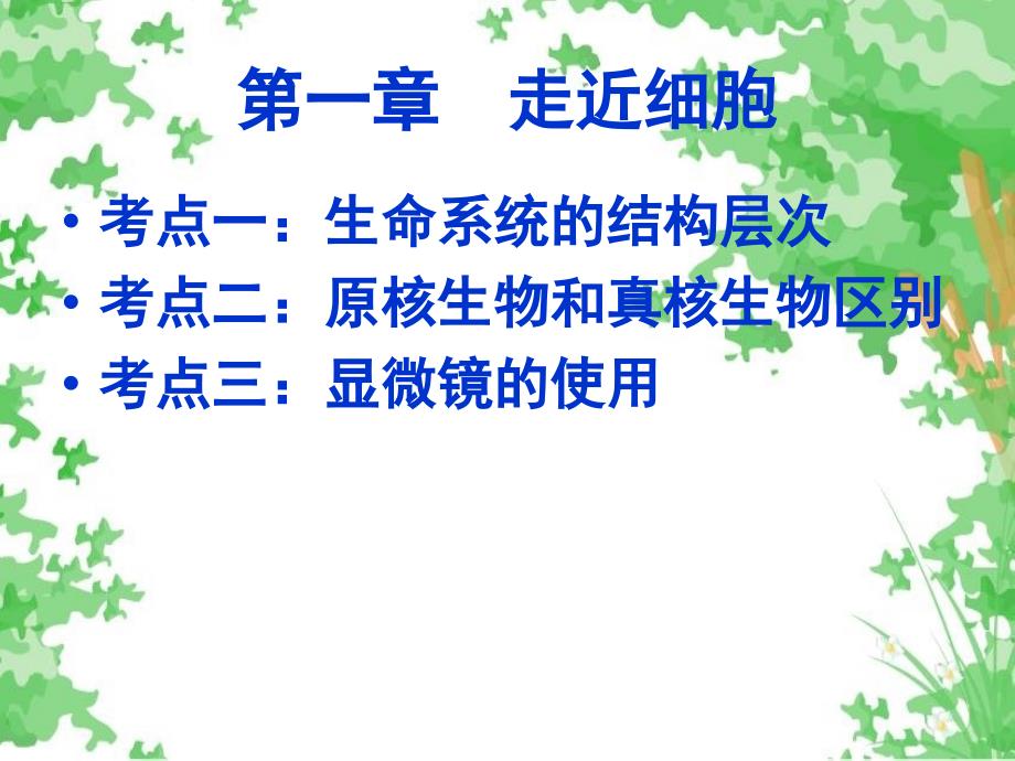 人教版教学课件广西崇左市宁明县宁明中学高一生物必修一复习课件_第2页