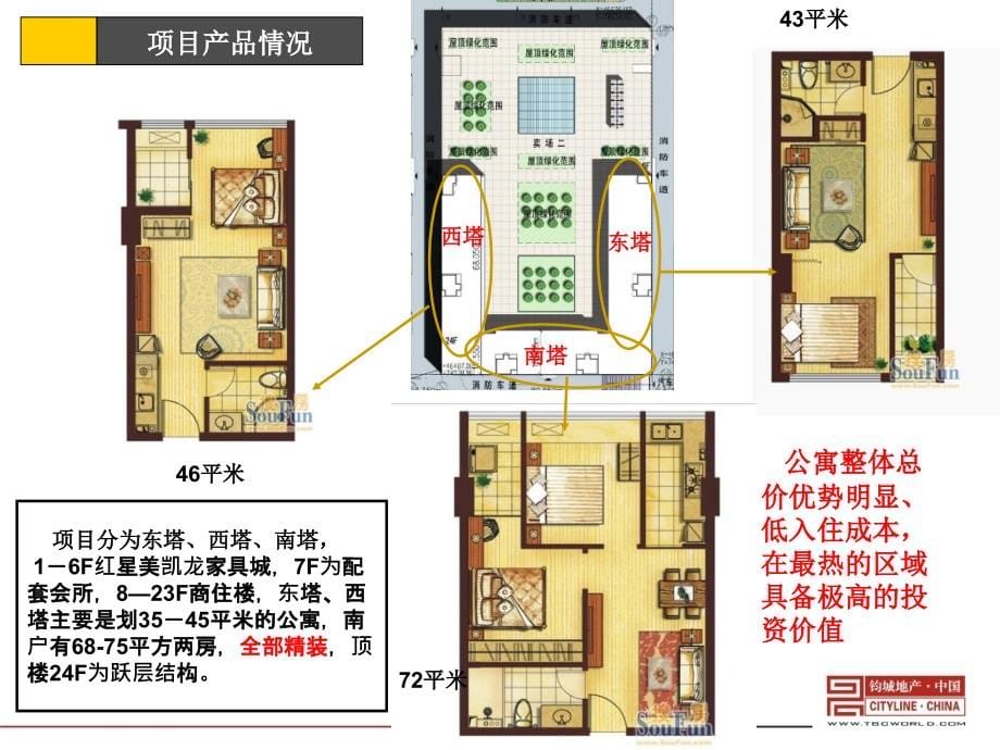 2010年红星蚂蚁soho营销策划方案205271331_第5页