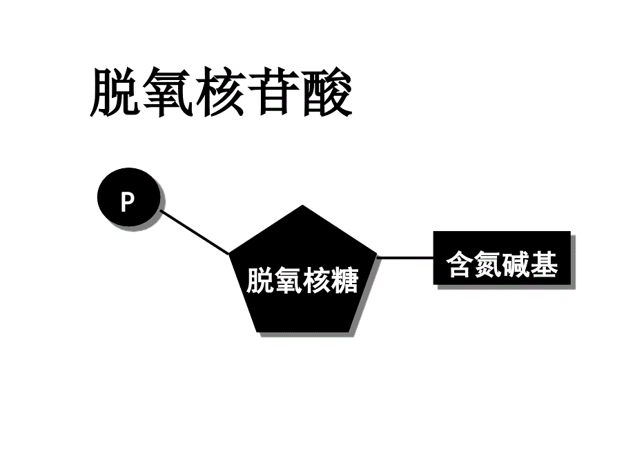 人教版教学课件必修2 DNA分子的结构课件_第3页