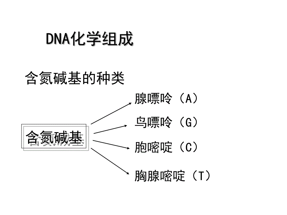 人教版教学课件必修2 DNA分子的结构课件_第4页