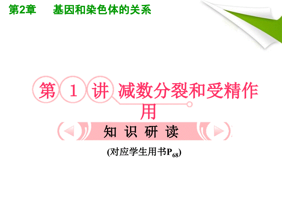 人教版教学课件2012高考生物总复习课件：21《减数分裂和受精作用》知识研习(新人教版必修2)(共40张PPT)_第3页