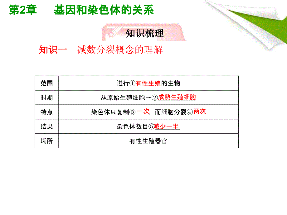 人教版教学课件2012高考生物总复习课件：21《减数分裂和受精作用》知识研习(新人教版必修2)(共40张PPT)_第5页